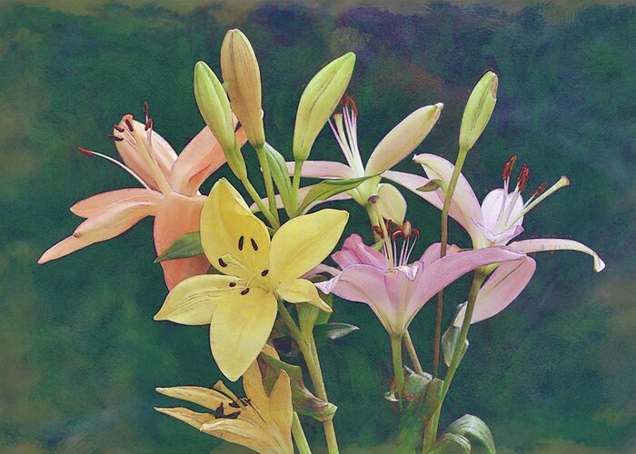 Lily Greeting Card featuring the digital art Colorful Lily Bunch by Gaby Ethington
