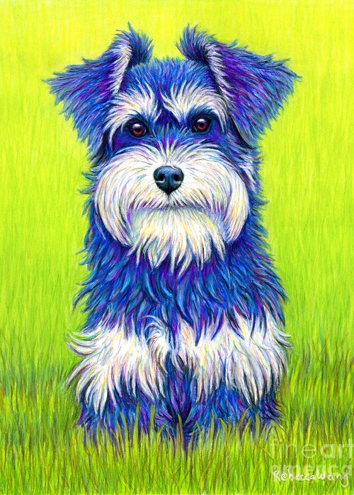 Miniature Schnauzer Greeting Card featuring the drawing Colorful Miniature Schnauzer Dog by Rebecca Wang