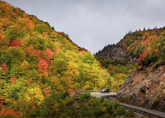Cabot Trail Greeting Card featuring the photograph Colour my Trip by Manpreet Sokhi