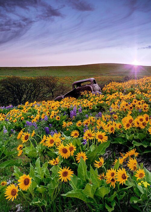 Columbia Hills Sunrise Greeting Card featuring the photograph Columbia Hills Sunrise by Wes and Dotty Weber