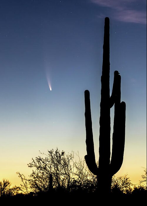 American Southwest Greeting Card featuring the photograph Comet NEOWISE and Saguaro by James Capo