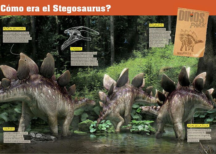 Paleontologia Greeting Card featuring the digital art Como era el Stegosaurus by Album