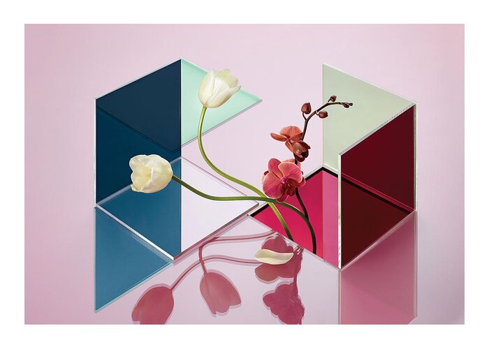 Still Life Greeting Card featuring the photograph Conceptual Still Life of Flowers and Reflections by Nik Mirus