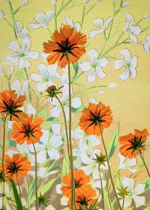 Flora Greeting Card featuring the photograph Coreopsis with French Gypsophile Blanc by Mary Lee Dereske