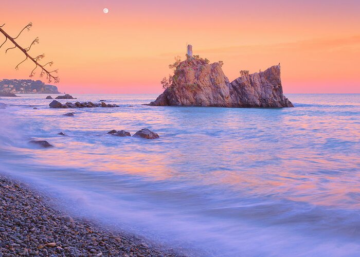 Tide Greeting Card featuring the photograph Cormorants rock by Giovanni Allievi