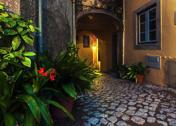 Portugal Greeting Card featuring the photograph Cosy Street by Evgeni Dinev