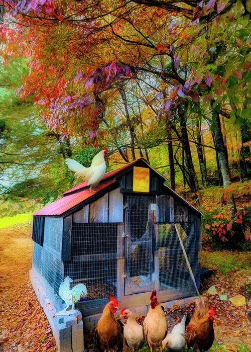 Animals Greeting Card featuring the photograph Country Chicken Coop Painting by Debra and Dave Vanderlaan