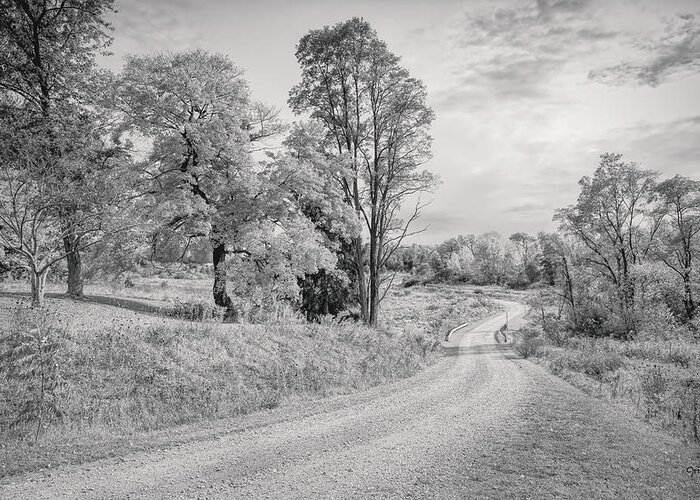Landscape Greeting Card featuring the photograph Country Road by John M Bailey