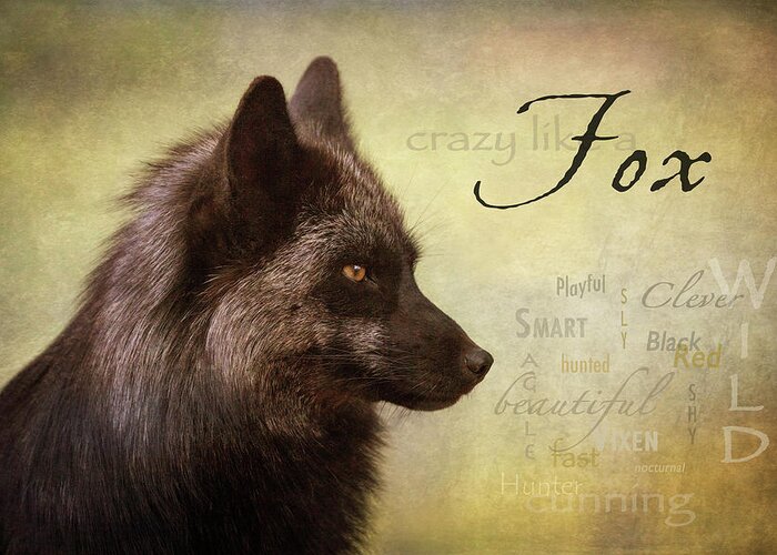 Fox Greeting Card featuring the digital art Crazy Like a Fox by Nicole Wilde