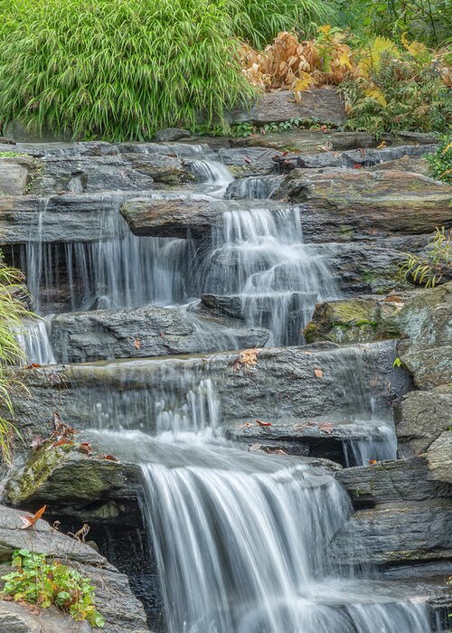 Bronx Botanical Gardens Greeting Card featuring the photograph Creamy Water Fall by Cate Franklyn