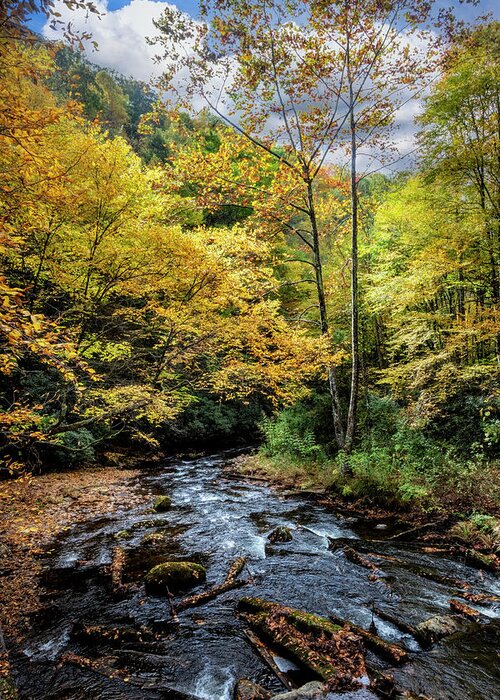 Clouds Greeting Card featuring the photograph Creeper Trail Whitewater Streams Damascus Virginia by Debra and Dave Vanderlaan