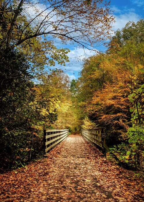 Clouds Greeting Card featuring the photograph Creeper Trail Wooden Bridge Damascus Virginia by Debra and Dave Vanderlaan
