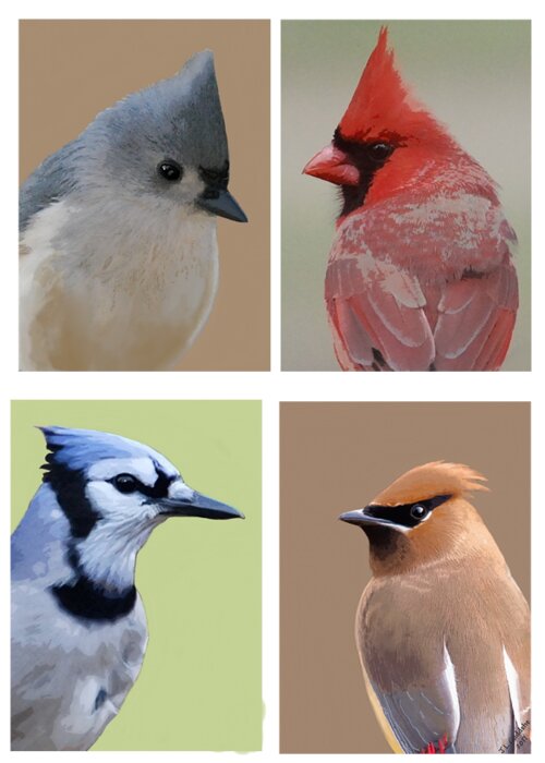 Birds Greeting Card featuring the mixed media Crested Birds by Judy Cuddehe