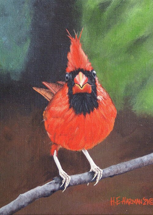 Northern Cardinal Greeting Card featuring the painting Crested Messenger by Heather E Harman