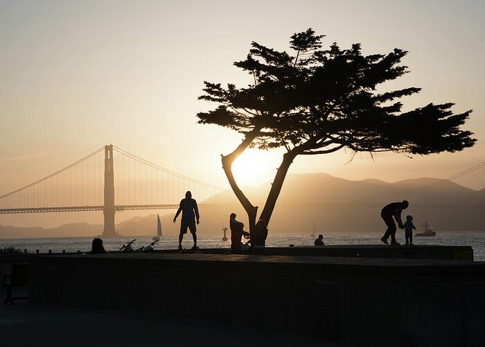 San Francisco Greeting Card featuring the photograph Crissy Field by Chris Goldberg