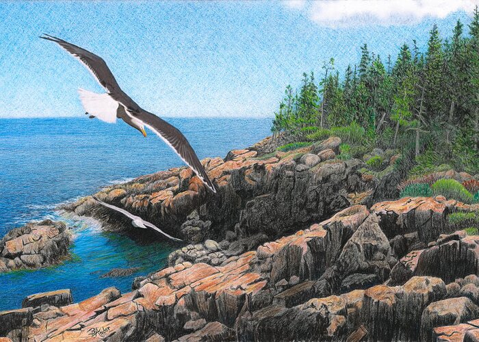 Acadia National Park Greeting Card featuring the drawing Crusing Otter Point by Brent Ander