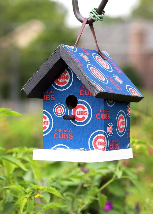 Cubs Birdhouse Greeting Card featuring the photograph Cubs Birdhouse by Patty Colabuono