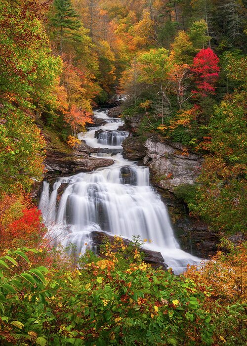 Water Greeting Card featuring the photograph Cullasaja Falls - WNC Waterfall in Autumn by Dave Allen