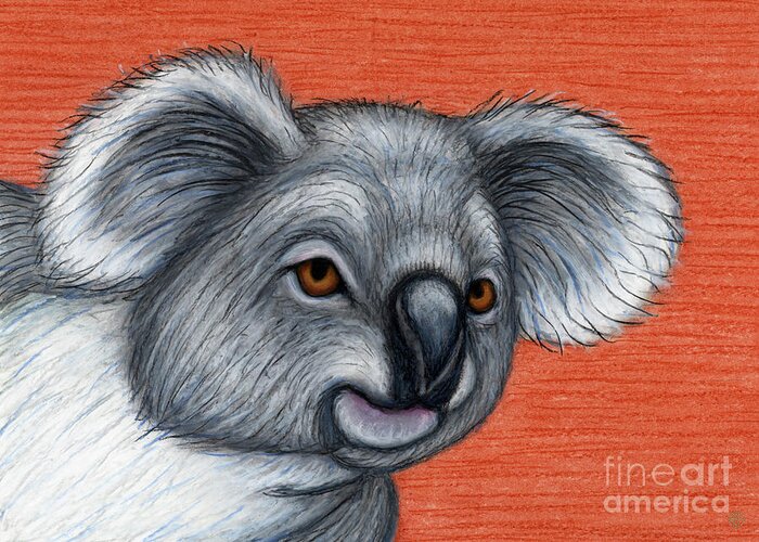 Koala Greeting Card featuring the painting Curious Koala by Amy E Fraser