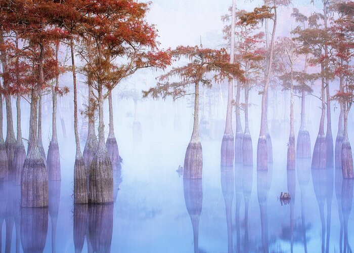 Abstract Greeting Card featuring the photograph Cypress at Down with Fog by Alex Mironyuk