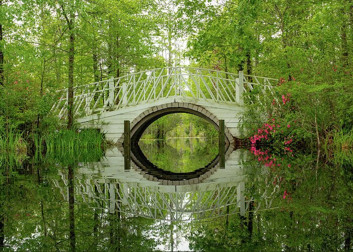 Nature Greeting Card featuring the photograph Cypress Gardens Bridge by Cindy Robinson