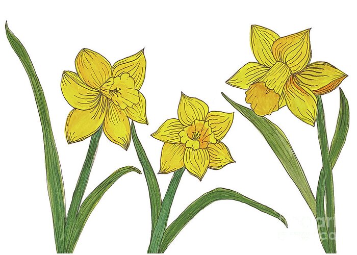Daffodils Greeting Card featuring the mixed media Daffodils by Lisa Neuman