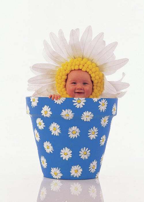 Color Greeting Card featuring the photograph Daisy Flowerpot by Anne Geddes