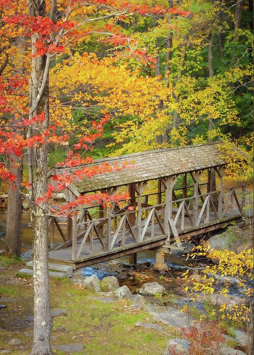 Ashby Massachusetts Greeting Card featuring the photograph Damon Walking Bridge over Willard Brook by Jeff Folger