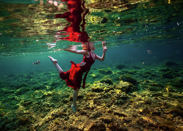 Underwater Greeting Card featuring the photograph Dancing by Gemma Silvestre