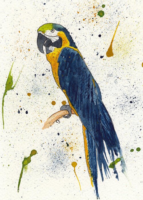 Parrot Greeting Card featuring the mixed media Dark Blue and Gold Macaw by Conni Schaftenaar