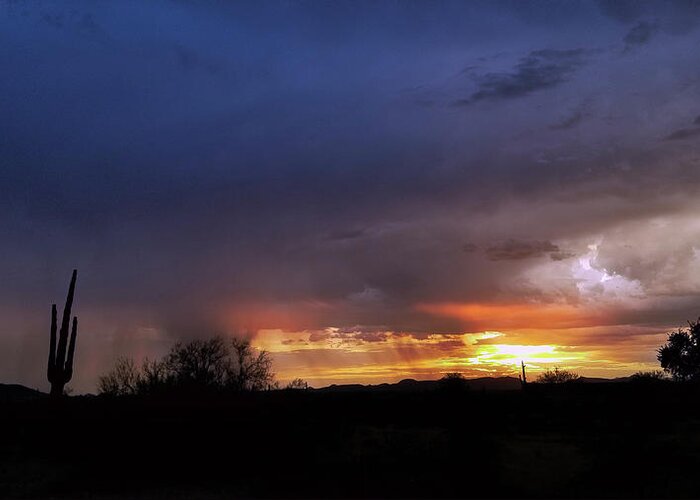 Arizona Greeting Card featuring the photograph Dark Sky Monsoon - Arizona Desert by Gene Taylor