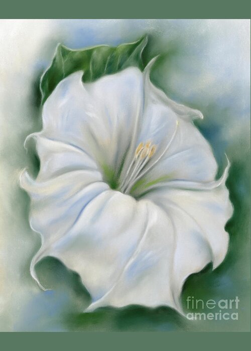 Botanical Greeting Card featuring the painting Datura Blossom White Flower by MM Anderson