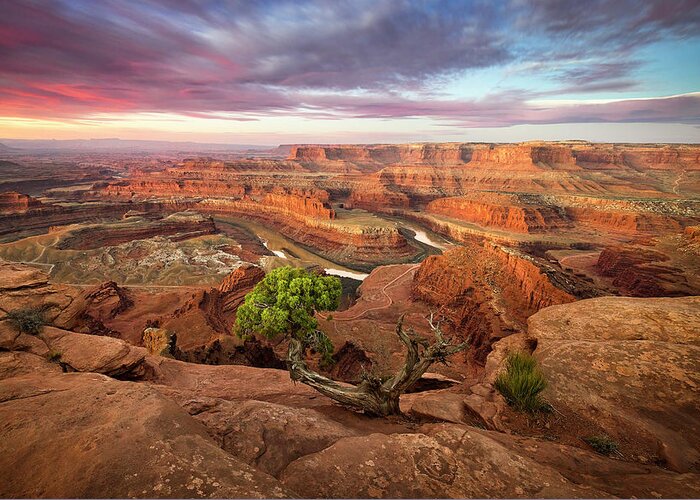 Moab Greeting Card featuring the photograph Dead Horse Point by Whit Richardson