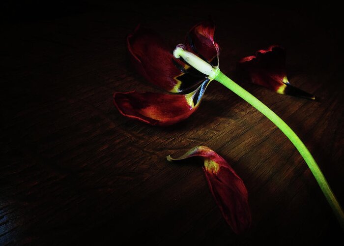 Wilted Greeting Card featuring the photograph Death by Maria Dimitrova