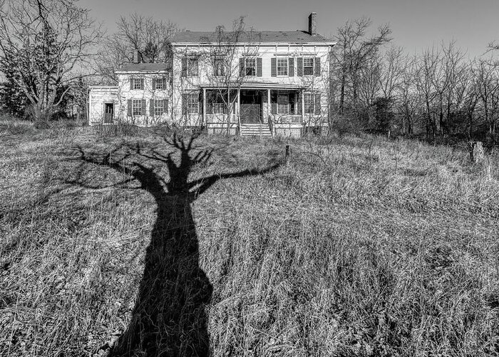 Voorhees Farm Greeting Card featuring the photograph Death Tree by David Letts
