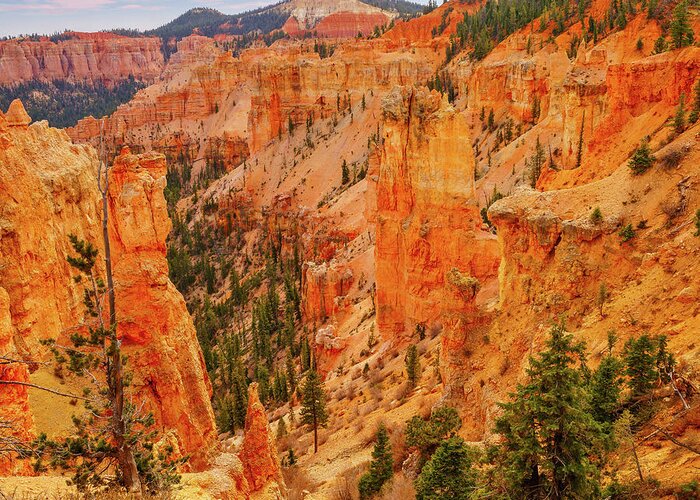 Bryce Canyon Greeting Card featuring the photograph December 2022 Bryce Canyon Detail by Alain Zarinelli