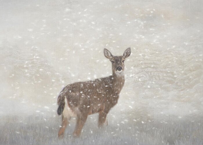 Deer Greeting Card featuring the photograph Deer in Winter Snow by Marilyn Wilson