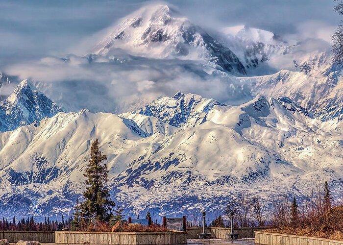  Greeting Card featuring the photograph Denali View Alaska by Michael W Rogers