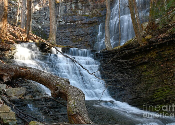 Tennessee Greeting Card featuring the photograph Denny Cove Falls 8 by Phil Perkins