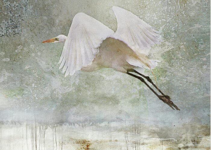 Bird Greeting Card featuring the photograph Departure by Karen Lynch