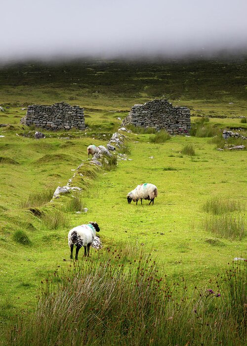 Gift Greeting Card featuring the photograph Deserted Village 1 by Mark Callanan