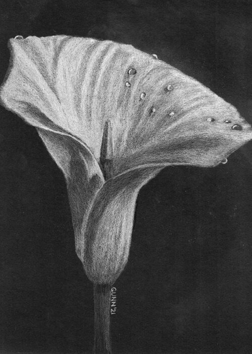 Single Flower Greeting Card featuring the drawing Dew on a Calla Lily by Katrina Gunn