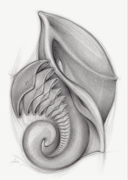 Creation Greeting Card featuring the drawing Discovery 2 - past meets future. pencil on paper by Adriana Mueller