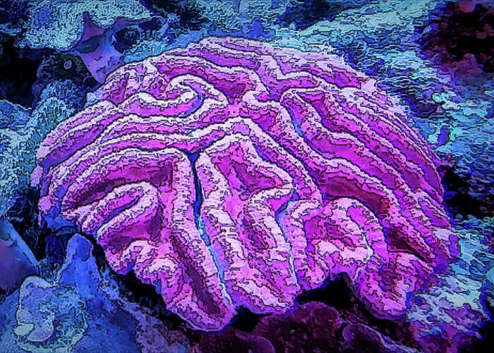 Brain Greeting Card featuring the photograph DiveArt - Coral Brain by Irene Isaacson