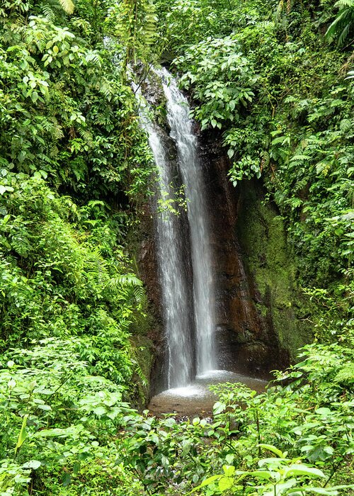 Costa Rica Greeting Card featuring the photograph Double Falls, Costa Rica by Leslie Struxness