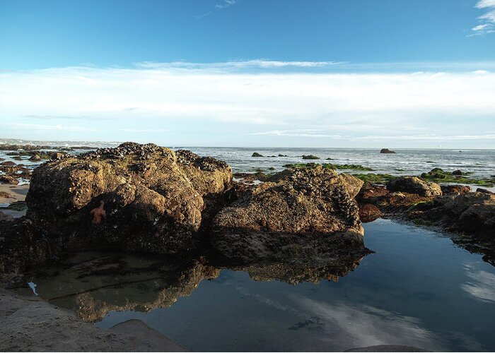 Beach Greeting Card featuring the photograph Double Rock Reflection by Matthew DeGrushe