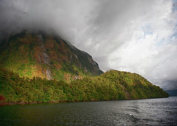 Landscape Greeting Card featuring the photograph Doubtful Sound by Jay Heifetz