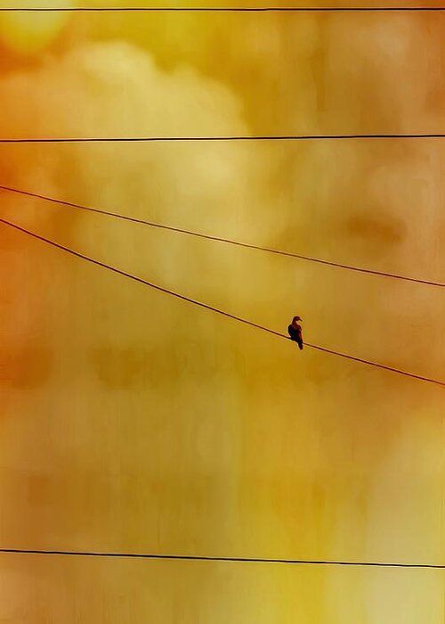 Perching Greeting Card featuring the photograph Dove on a Wire - Gold by Judy Kennedy