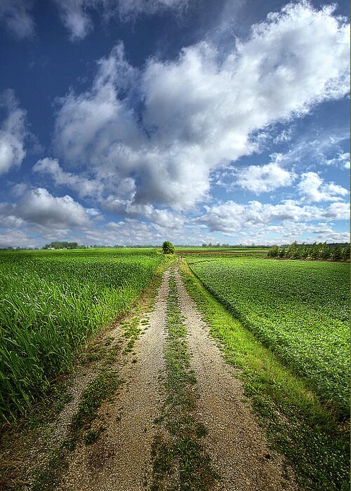 Outdoors Greeting Card featuring the photograph Down Country Roads by Phil Koch