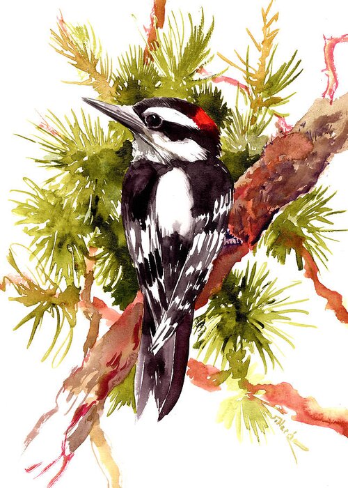 Woodpecker Greeting Card featuring the painting Downy Woodpecker by Suren Nersisyan